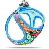 Tailpetz | Air-Mesh Koşum Takımı | K&ouml;pek Koşum Takımı - Orta Boy K&ouml;pekler i&ccedil;in, File Tipi, Ayarlanabilir ve Kolay &Ccedil;ekme, &Ccedil;ekm