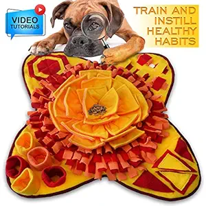 Petriz Snuffle Mat for Dogs