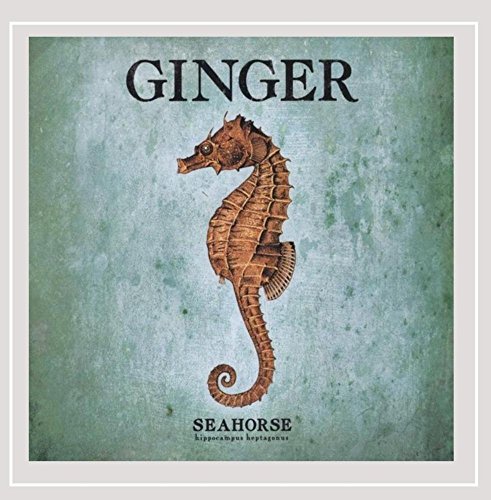 Preisvergleich Produktbild Seahorse