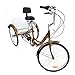 Produktbild SHIOUCY 24" 3 Rad Erwachsene Fahrrad Dreirad Cruise Tricycle Trike + Korb + Kopflicht, 6 Geschwindigkeit Korb Dreirad Pedal Warenkorb Lastenfahrrad (Gold)