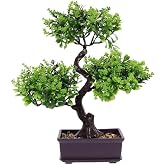 Sim&uuml;lasyon Bonsai Ağacı Sahte Saksı Bitkileri Yapay Bonsai Ağacı Sahte Bitkiler Ağa&ccedil; Sim&uuml;lasyonu Misafir Bah&ccedil;esi Masa Dekoru 