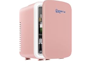 WANNYTON Mini lodówka 4 l, mała przenośna lodówka, lodówka na kosmetyki, urocza lodówka, funkcja chłodzenia lub grzania, do biura, sypialni, samochodu, podróży, 220/12 V, różowa, 24,5 x 18,5 x 27 cm