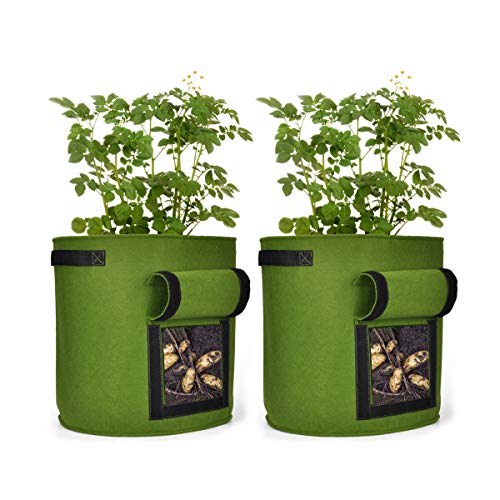CYFIE 2er 40L Pflanzenwachstumstaschen, 10 Gallons Pflanzbeutel aus Vliesstoff, Kartoffel Pflanzbeutel mit Griffe für Kartoffeln Süßkartoffeln Erdnüsse, Grün