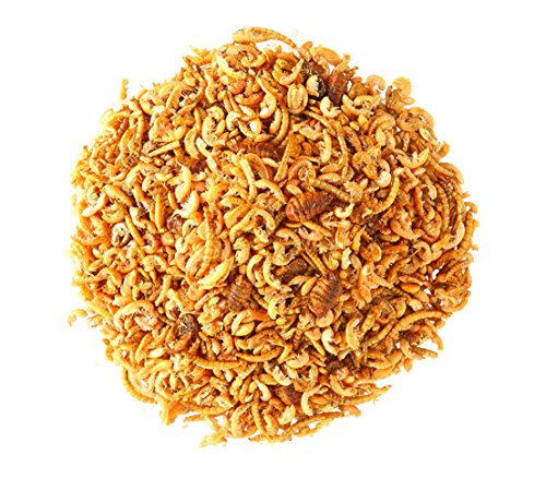 Dehner Natura Wildvogelfutter, Protein Futter-Mix, 500 g - 2