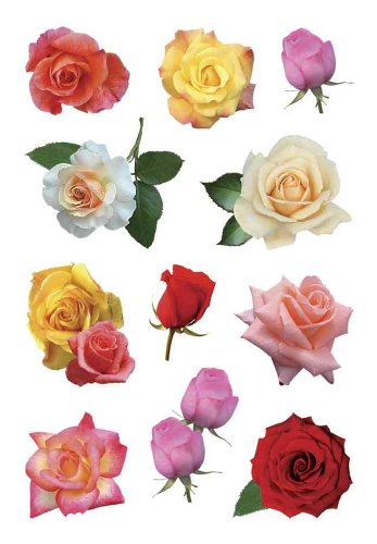 Preisvergleich Produktbild Herma 3308 Sticker DECOR Rosenblüten