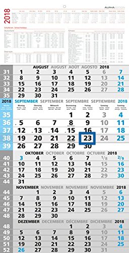 Preisvergleich Produktbild 5-Monatskalender 2018 - Wandkalender / Bürokalender (33 x 63,5) - mit Datumsschieber - mit Jahresübersicht