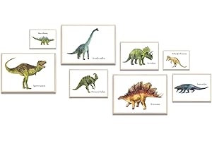 MeinBaby123® Dino Poster pour chambre d'enfant,Poster dinosaure DIN A4, A5, A6 I images pour chambre d'enfant garçon,Décoration de chambre de bébé,Poster mural de qualité supérieure (lot de 8)
