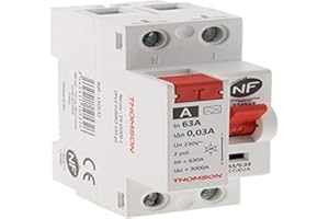 Thomson Interrupteur différentiel à vis 63A type A NF