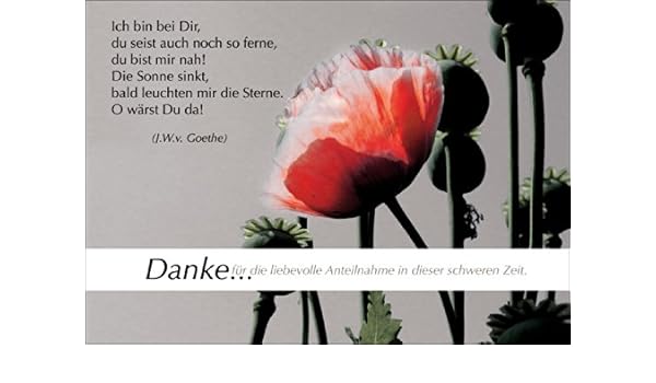 Get Sprueche anteilnahme trauer Free Sprueche Anteilnahme Trauer