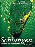 Image de Schlangen