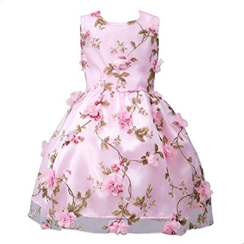 Girls Dress, Sonnena Flower Kids Girl Dress Princess Dress Pageant Bridesmaid Dress Wedding Formal Dress Party Dresses Girls Lace Tulle Dress Sleeveless Dresses Girls Party Outfit Kids Sundress (6 years, Pink)