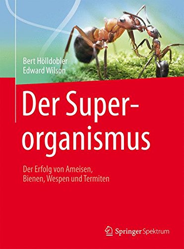 Download Der Superorganismus: Der Erfolg von Ameisen, Bienen, Wespen und Termiten Download Der Superorganismus: Der Erfolg von Ameisen, Bienen, Wespen und Termiten