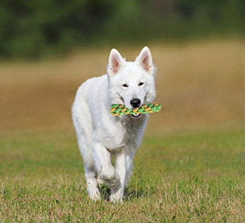 Lobeve-Dog-Chew-Toys-5-Pack-Gift-Set-Durable-puppy-Rope-Toy-Small-Set