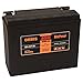 Produktbild Orbis B-HVT-Six - YTX24HL-BS Motorradbatterie 12 Volt 22 Ah