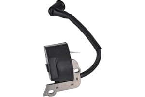 Cancanle Bobine d'allumage Module pour Stihl BG55 BG65 BG85 BG45 BG46 BR45 SH55 SH85 AM42 Partie Non. 4229 400 1300