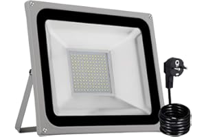 ‎PAPASBOX papasbox LED Strahler, 100W LED Fluter IP65 wasserdicht Außenstrahler Flutlichtstrahler Aluminium Scheinwerfer Licht 6000K,EU Stecker, ideale Wandleuchte für Garten, Sportplatz