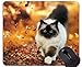 Produktbild Mausunterlage mit genähtem Rand, blaue Augen-Himalajakatze-Tiererdennatur-Katze rutschfeste Gummibasis Mousepad