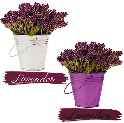 16 tlg. Set _ XL Wandtattoo / Sticker – “ Kräuter / Küchenkräuter & Lavendel “ – Wandsticker – Aufkleber für Kinderzimmer – selbstklebend + wiederverwendbar – Kinder & Erwachsene – Kinder – Wandaufkleber – Postersticker – Deko – Küche mediterane Dekoration – Poster – Tattoo - 5