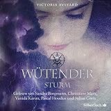 Image de Wütender Sturm: 3 CDs (Die Farben des Blutes, Band 4)