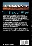 Image de The Elusive Wow: Searching for Extraterrestrial Intelligence