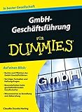Image de GmbH-Geschäftsführer für Dummies