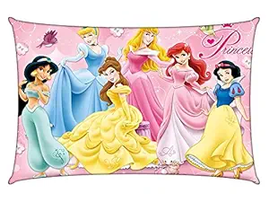 Sai Toys Cartoon Printed Baby Pillow / Cushion/ Toys /Soft Toys /Toddler Pillow /Kids Pillow for Baby Boy / Baby Girls (Princess)