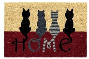 Dcasa Felpudo Fibra de Coco 40 x 60 cm