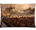 Produktbild Age Of Empires Iii Pillowcases Custom Pillow Case Cushion Cover 20 X 30 Inch Two Sides