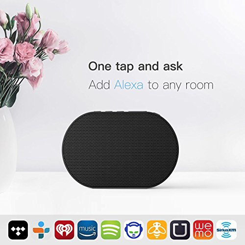 GGMM Wireless Smart Speaker Bluetooth 4,2 Wi-Fi Portatile con Amazon Alexa Grande Suono Stereo, E2 AirPlay Multi-room Altoparlante 10W per iPhone Smartphone Android e Tablet PC