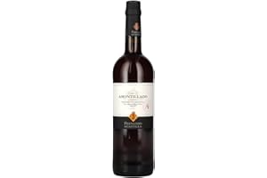 Rey Fernando De Castilla Sherry Amontillado Classic Jerez D.O. (1 x 0.75 l)