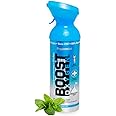 Boost Oxygen 95% Pure Oxygen Supplement Portable Pure Oxygen Canister Increases Stamina, Recovery, Mental Attention and Performance (9 Litre Canister, 1 Pack, Peppermint)