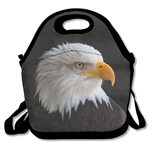 eagles lunch cooler
