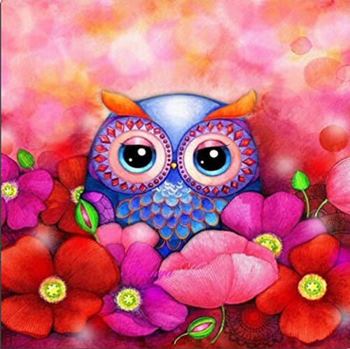 Set Diamond Painting Strass Mosaik Bild Basteln Bastelset Steine Eule Pink Blau