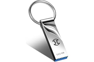 dolrun USB Stick 3.0 512GB - USB Speicherstick USB-Stick Metall Datenspeicher USB-Flash-Laufwerk mit Schlüsselring USB 3.0 für Laptop, PC, Computer, Auto