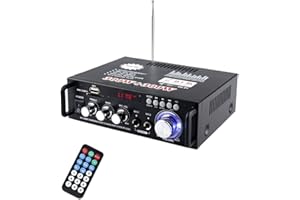 CICONY Amplificador Audio Hifi, 300W+300W Amplificador Estéreo Bluetooth 5.0,12V 220V 2 Canales, Radio FM/SD/USB/2 Entrada de Micrófono para Doméstico o de Coche