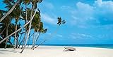 Image de Velaa. Island for all senses. Ediz. inglese, cinese, russa