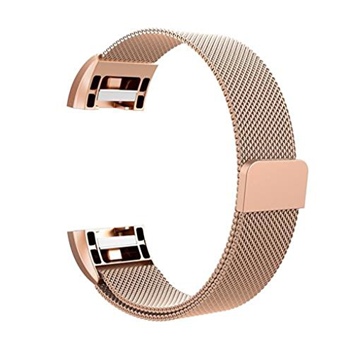 Preisvergleich Produktbild Windy5 Magnetverschluss Uhrenarmband-Smart-Handgelenk-Band ersetzen Woven Edelstahl-Kettenarmband-Gurt für Fitbit 2 Aufladen