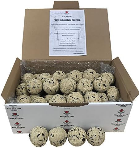Suet Balls Fat Balls for Wild Birds (Premium Luxury Granola Recipe) - Pack of 50 - The Wild Bird Care Company