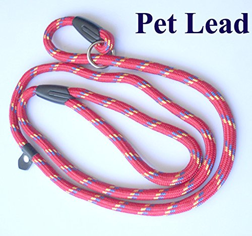 Preisvergleich Produktbild Nylon Führleine Hundeleine Hunde Leine Retrieverleine