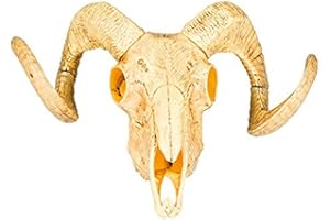 Boland Animali Decorazione a Forma di Teschio, 28 x 36 cm, Colore Giallo/Bianco, 54319