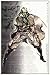 Produktbild CGC Große Poster – Metal Gear Solid 2 PS2 PS3 – Revolver Ocelot – mgs209, 24" x 36" (61cm x 91.5cm)