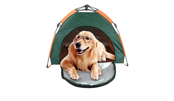 dog tents amazon