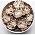 Plain Chips Supari (GOL-MOL) (100 Gram) Chaliya Chips Supari , Betel-nut Chips Cut