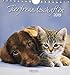 Tierfreundschaften (PK) 233919 2019: aufstellbarer Postkartenkalender by 