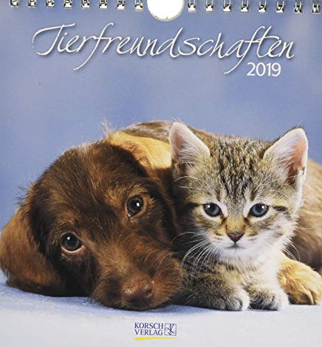 Tierfreundschaften (PK) 233919 2019: aufstellbarer Postkartenkalender
