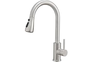 GENBONS Wasserhahn Küche, Edelstahl, Hochdruck Küchenarmatur mit Herausziehbarer Brause Ausziehbar Armatur, Mischbatterie Spültischarmatur, 360° Schwenkbar Zwei Sprühfunktionen