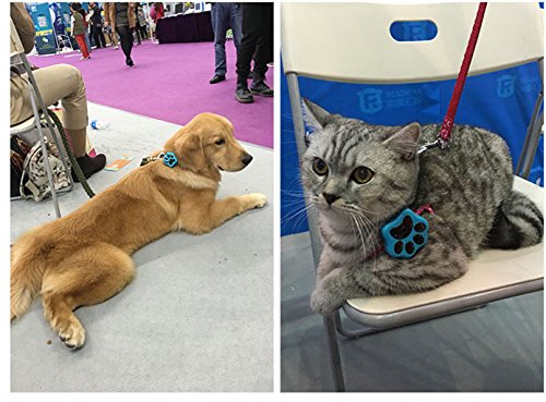 Pet-Anti-lost-Pet-GPS-Positioning-Tracker-with-WiFi-Waterproof-Long-Standby-Anti-lost-Device-for-Iphone-Series-of-Smart-Phones