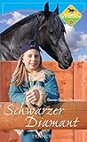 Winnie, die Pferdezähmerin Bd. 4: Schwarzer Diamant by 