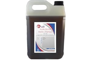 DLLUB - HUILE BOITE MOTO 2T 10W30-5 litres