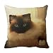 Romantichouse Cotton Linen Square Decorative Kitty Cat Cats Ragdoll Ragdolls Blue Eyes Pillowcase